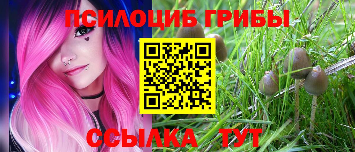 Галлюциногенные грибы ЛСД Тавда