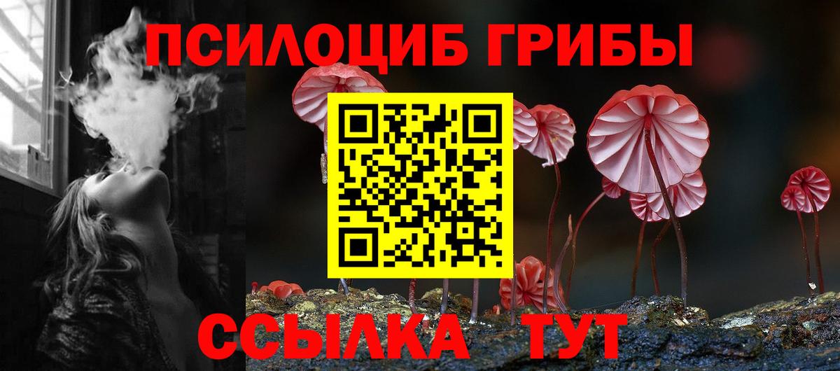 Тавда  Галлюциногенные грибы Psilocybine cubensis  Вход с VPN 